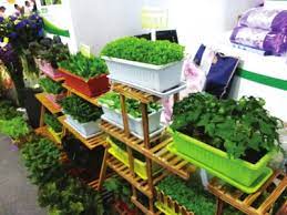 玉米种植农民法律援助政策的可及性研究